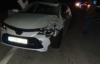 Otomobilin çarptığı at telef oldu