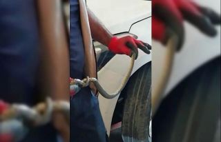 Otomobilin motoruna giren yılanı itfaiye çıkardı