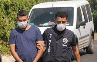 Otomobilini isteyen kardeşini ağır yaralayan zanlı...