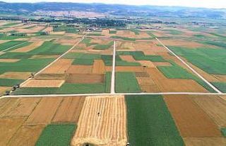 Ovada arazi toplulaştırması havadan görüntülendi