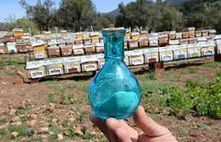 (Özel) Arı zehrinin gram fiyatı dudak uçuklatıyor