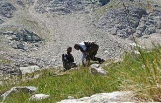 (Özel) Dağlar onlara emanet