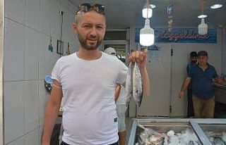 Palamut sezonu heyecanı