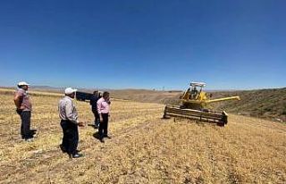 Pursaklar’da tohumlar mahsule döndü