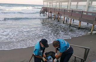 Sahil şeritlerinde temizlik çalışmaları hız...