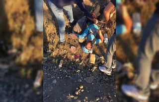Sakarya’da paraşütçü ölümden döndü
