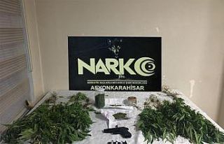 Saksıda kenevir yetiştiren zabıta memuru ve arkadaşını...