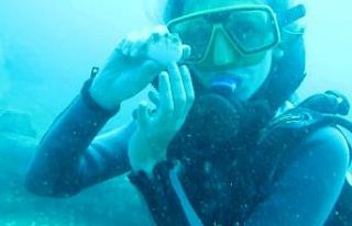 Saldırganlığıyla bilinen balon balığını su...