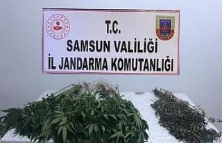 Salıpazarı’nda esrar operasyonu:2 gözaltı