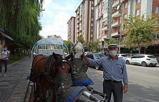 Şampuanla yıkanan atlar misafirlerini bekliyor