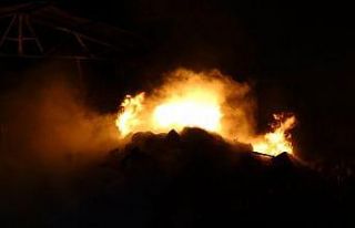 Samsun’da geri dönüşüm istasyonunda yangın