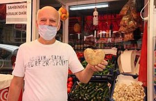 Samsun’da patates aşka geldi