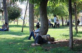 Şanlıurfa’da çöl sıcakları etkili oluyor