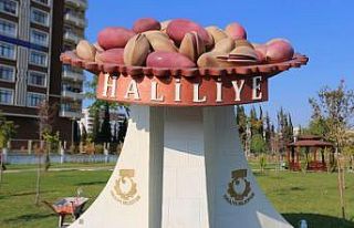 Şanlıurfa’da fıstık heykeli yapıldı