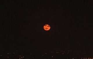 Şanlıurfa’da kızıldan altın sarısına dönen...