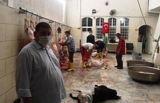 Şanlıurfalı ihtiyaç sahibi ailelere 600 kurbanlık