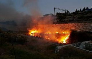 Şehir merkezindeki ot yangını korkuttu