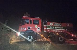 Seydişehir’de Kuğulu Parkta yangın paniği