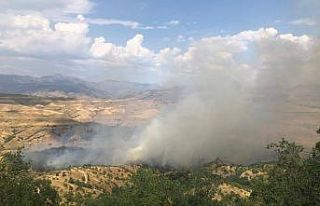 Siirt’te dumanlar gökyüzünü kapladı, köylüleri...