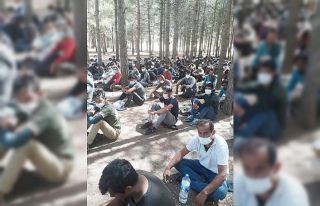 Silvan’da 142 düzensiz göçmen yakalandı