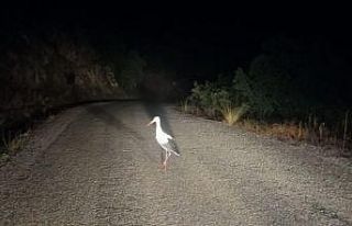 Sındırgılılar leylekler için bu yıl da karanlıkta...