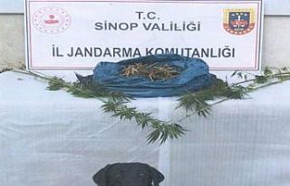 Sinop’ta uyuşturucu operasyonu