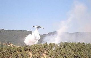 Sinop’taki orman yangını kontrol altına alındı