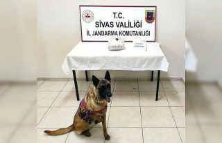 Sivas’ta 4 kilo 662 gram esrar ele geçirildi
