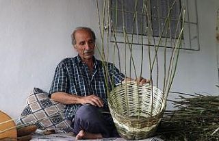 Söğüt dalından sepet örme işine 50 yıl sonra...