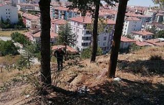 Sungurlu’da yangın