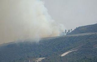 Suriye sınırının sıfır noktasında orman yangını