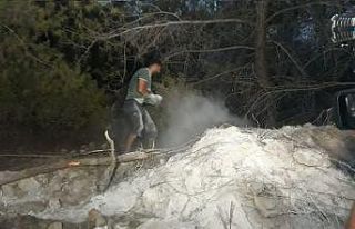 Suriyeli Hasan, orman yangınını avuçlarıyla taşıdığı...
