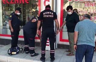 Tabela arkasındaki boşluğa düşen yavru kedi kurtarıldı