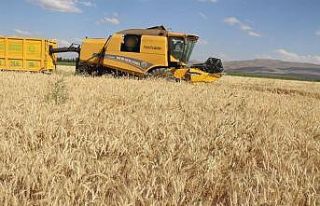 Tarım’da Erzurum farkı