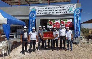 Tarladan sofraya verim ve kalitenin arttırılması...