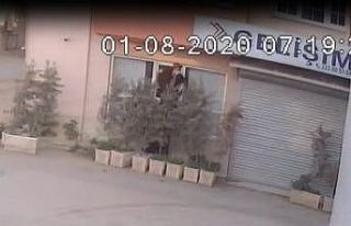 Teknoloji faresi önce kameraya sonra polise yakalandı...