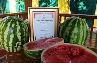 Tescilli Adana karpuzu ekonomiye katkı sağlayacak