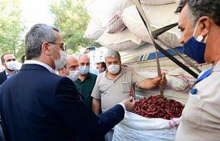 Tescilli "Maraş biberi" pazara indi