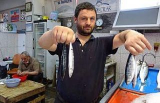 Tezgahlar çingene palamudu ile şenlendi