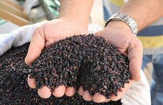 Toplaması saatler alıyor, faydası ise saymakla...
