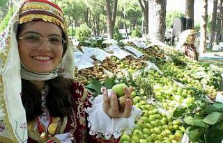 Toprak Mahsulleri Ofisi kuru incir alımına devam...