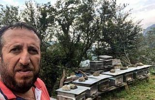 Trabzonlu bal üreticisi arı sokması sonucu hayatını...