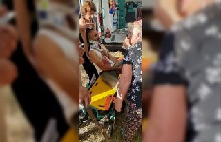 Tunceli’de ayı saldırısında bir kişi yaralandı