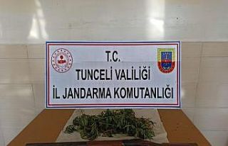 Tunceli’de narkotik operasyonu: 1 gözaltı