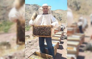 Türk Dağı’nda bal sağımı başladı