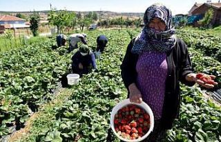 Üretici kadınlar istedi Başkan Ataç destekledi