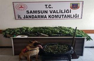 Uyuşturucu tacirleri "Ozon"u geçemiyor