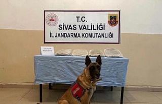 Uyuşturucu ve insan kaçakçıları Gürün’ü...