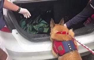 Uyuşturucuyu torbacılara dağıtan zehir taciri...