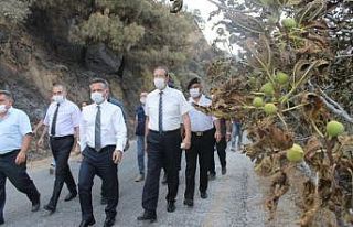 Vali Aksoy, yangın bölgesinde incelemelerde bulundu